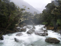 Routeburn Classic Adventure