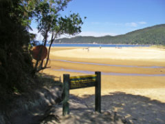 Abel Tasman