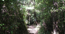 エイベルタズマン国立公園　/　Abel Tasman National Park