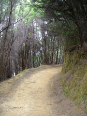 Captain Cook's Landing