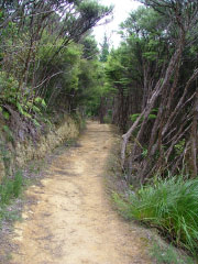 Captain Cook's Landing