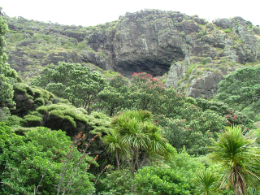 Auckland周辺のトレイル