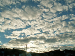 明日は良い天気？