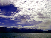 カイコウラ・シーカヤック / Kaikoura Seakayak