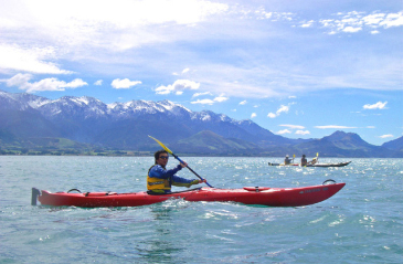 カイコウラ・シーカヤック / Kaikoura Seakayak