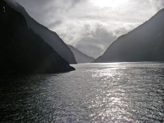 ミルフォードサウンド・オーバーナイトクルーズ / Over night Cruise in Milford Sound