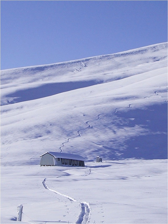 テカポ・スノーシュ―ハイク / Tekapo Snowshoe Hikes