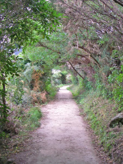 エイベルタズマン国立公園　/　Abel Tasman National Park