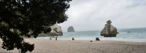 カセドラル・コーブ　コロマンデル半島　/　Cathedral Cove Coromandel