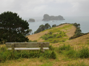 カセドラル・コーブ　コロマンデル半島　/　Cathedral Cove Coromandel