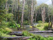 ネルソンレイクス国立公園　/　Nelson Lakes National Park