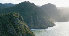 ワイタケレの森　/　Waitakere Ranges